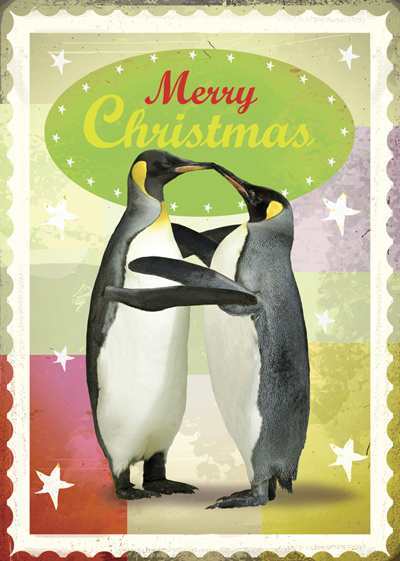 Merry Christmas Penguins Pack of 5 Greeting Cards by Max Hernn